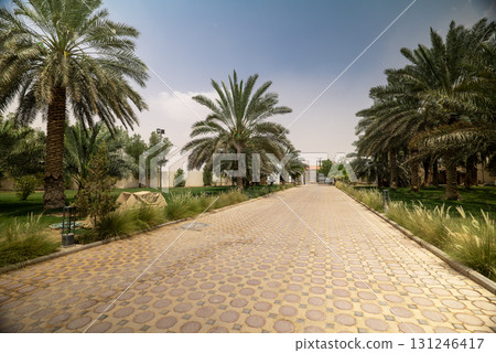 Luxury Modern Villa in Saudi Arabia 131246417