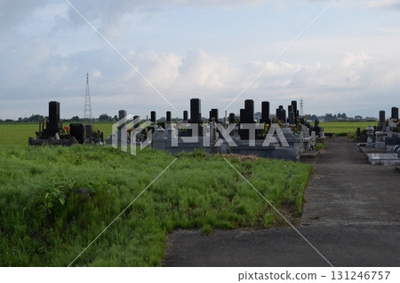 Mass grave in a rice field 131246757