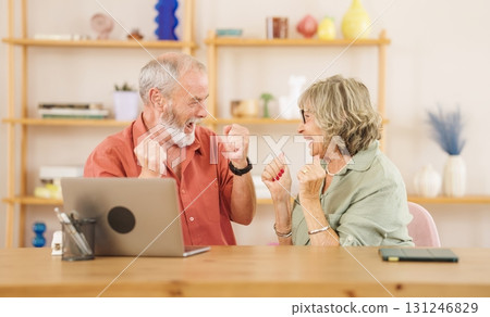 Excited senior couple celebrating success while using laptop at home 131246829