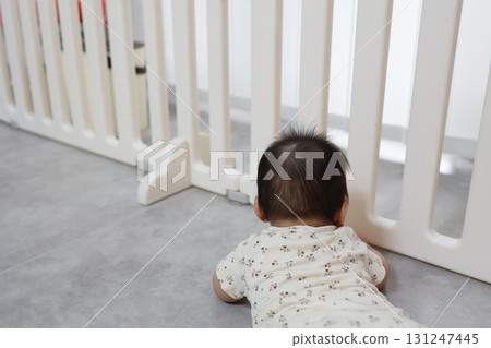 The back view of a baby looking out from inside a baby gate 131247445