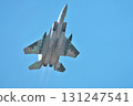 Aggressor 131247541