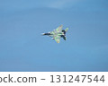 Aggressor 131247544