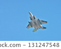 Aggressor 131247548