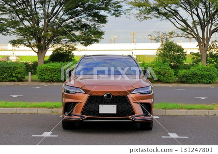 國產豪華SUV 131247801