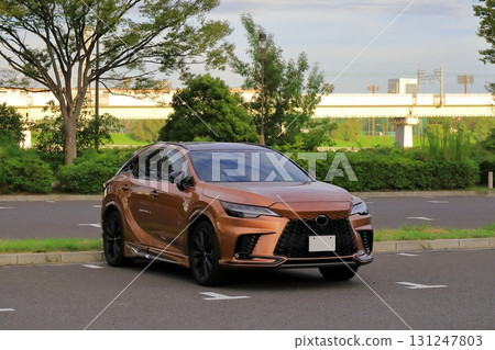 Domestically produced luxury SUVs 131247803