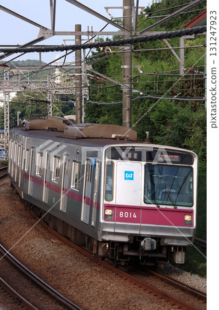東京地鐵8000系列直達列車沿著田園都會線飛馳,拍攝於2010年10月7日 東京地鐵8000系列直達列車沿著田園都會線飛馳,拍攝於2010年10月7日 131247923