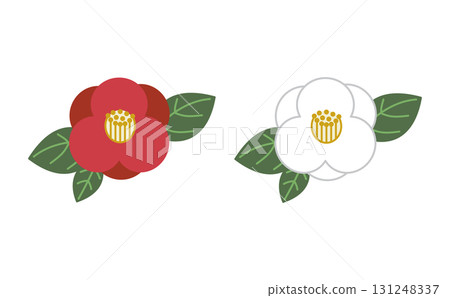 Set of two red and white camellia illustrations (colored) 131248337