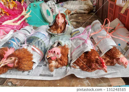 Closeup on live rooster or chicken wrapped in newspaper being retailed in traditional market stall in Sibu, Sarawak Closeup on live rooster or chicken wrapped in newspaper being retailed in traditional market stall in Sibu, Sarawak 131248585