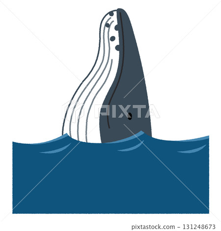 座頭鯨的偵察插圖 座頭鯨的偵察插圖 131248673