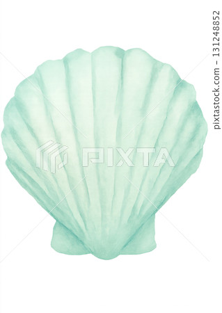 Pastel mint scallop shell watercolor illustration PNG transparent background 131248852