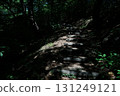 Hiking trail with sunshine filtering through trees 131249121