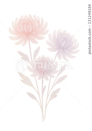 Autumn colored chrysanthemum bouquet watercolor illustration PNG transparent background 131249184
