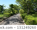 Park promenade surrounded by fresh greenery 131249260