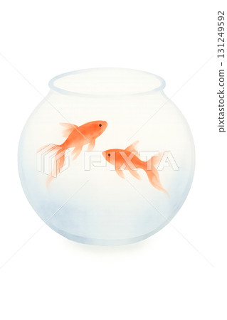 Transparent goldfish bowl and two goldfish watercolor illustration PNG transparent background 131249592