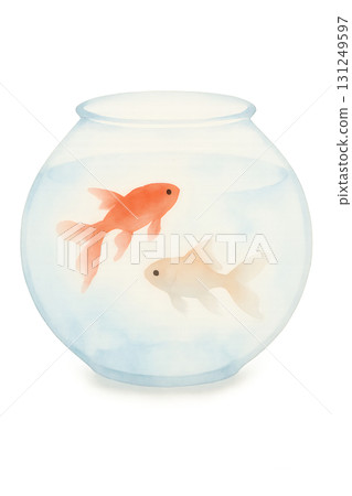 魚缸裡遊著紅白相間的金魚。水彩插圖，PNG格式，透明背景。 131249597