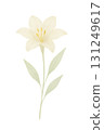 White lily and leaf illustration watercolor illustration PNG transparent background 131249617