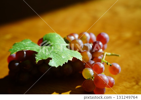 Autumn harvest grapes 131249764