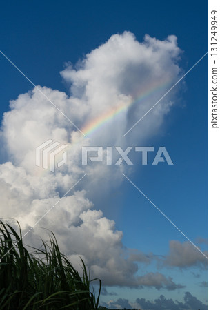 沖繩:彩虹與甘蔗的夏日風景 沖繩:彩虹與甘蔗的夏日風景 131249949