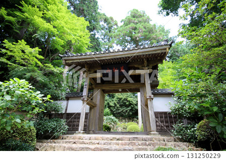 龍炭寺奧濱名湖靜岡縣 131250229