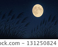 Night sky and the silhouette of Japanese pampas grass 131250824