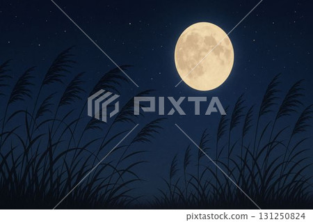 夜空和日本蒲葦的輪廓 131250824