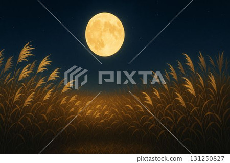 一輪滿月漂浮在紫芒田野上 131250827