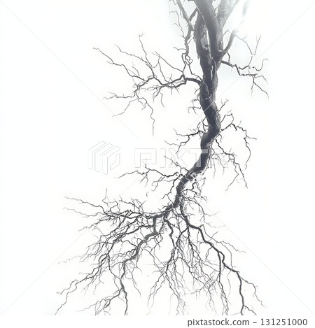 Abstract Black and White Branches Against White Background in Minimalist Style 131251000