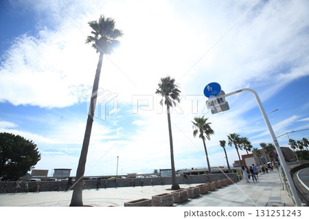 棕櫚樹成蔭的海岸線 131251243