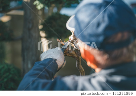 gents, male, man 131251899