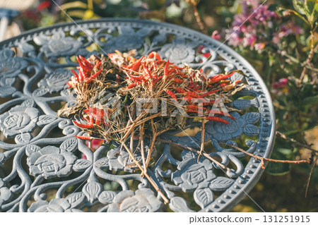 一家人在花園裡曬紅辣椒 131251915