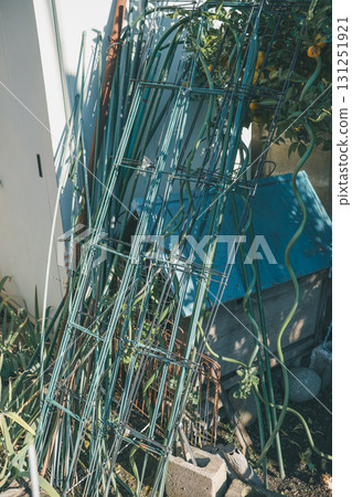 Place a vegetable garden support in one corner of the garden Place a vegetable garden support in one corner of the garden 131251921