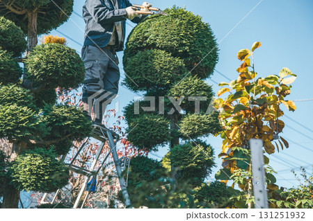 gardener, landscaper, male 131251932