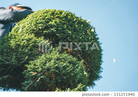 園丁 男人 男 131251940