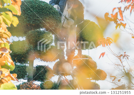 gardener, landscaper, gents 131251955