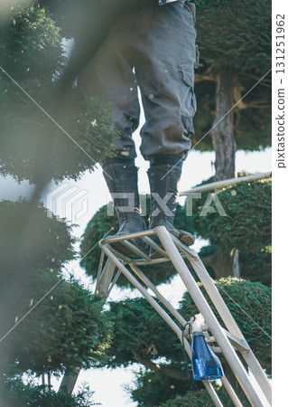 gardener, landscaper, male 131251962