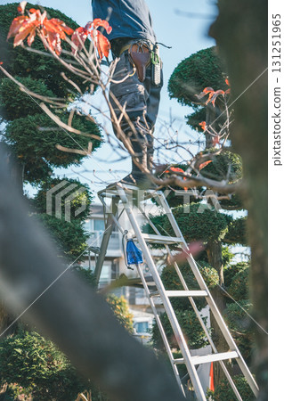 gardener, landscaper, gents 131251965