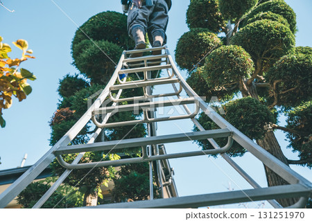 gardener, landscaper, male 131251970