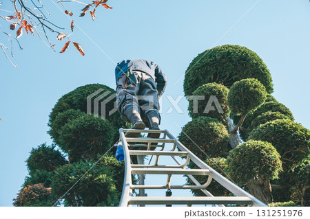 gardener, landscaper, male 131251976