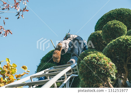 gardener, landscaper, male 131251977