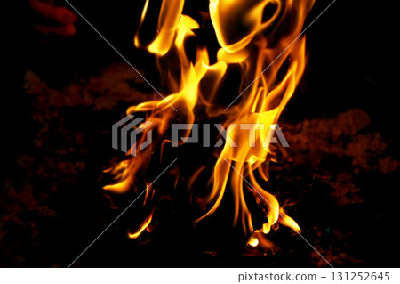 Close-up of Bright Fire Flames in Darkness 131252645