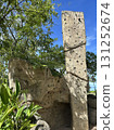 climbing wall structure with textured grips against a blue sky and green foliage 131252674