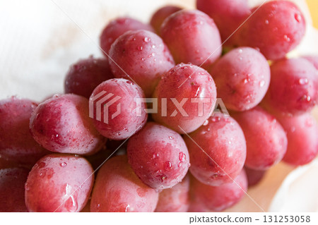 胭脂皇后 胭脂皇后 131253058