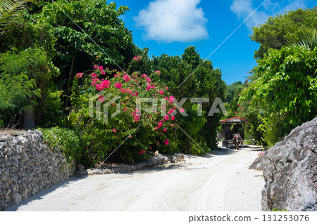 Taketomi Island: Village streets and water buffalo carts 131253076