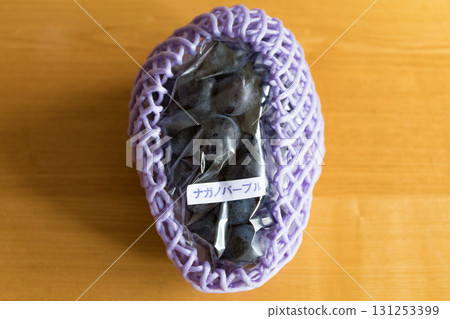 Nagano Purple 131253399