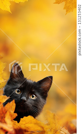Black Cat Peeking from Autumn Leaves with Blurred Background Black Cat Peeking from Autumn Leaves with Blurred Background 131253402