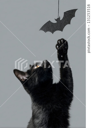 Black Cat Pawing at Paper Bat Decoration on Light Grey Background 131253516