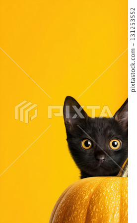 Black Cat Peeking Behind Pumpkin on Bright Yellow Background 131253552