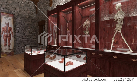 Human Body Museum 131254297