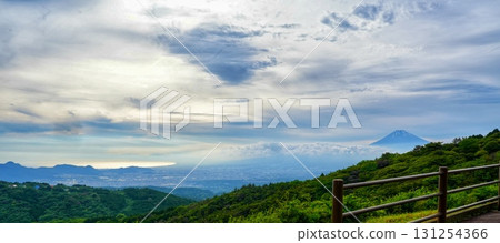 富士和駿河灣 131254366