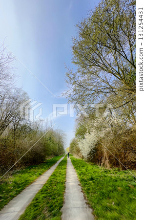 A Serene Pathway Meandering Through a Lush Green and Vibrant Landscape Awaits You A Serene Pathway Meandering Through a Lush Green and Vibrant Landscape Awaits You 131254431